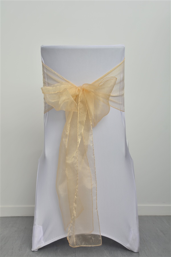 Champagne Organza Sash