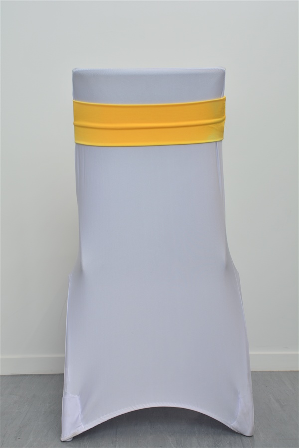 Yellow Lycra Band