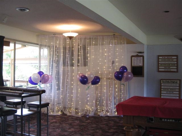 3m x 3m Curtain Lights