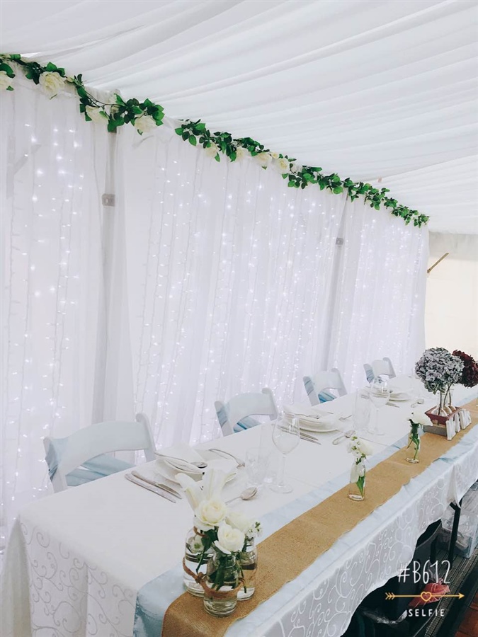 6m x 3m Curtain Lights with Artificial Garland