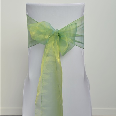 Lime Green Organza Sash