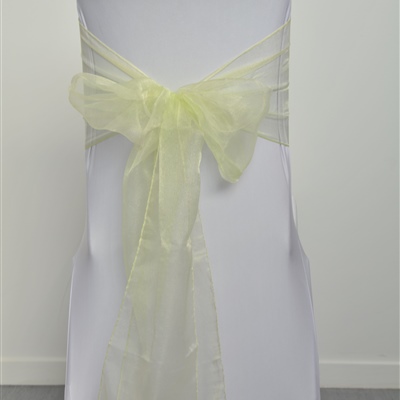 Light Green Organza Sash