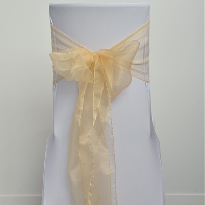 Champagne Organza Sash