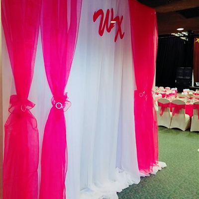 Backdrop Curtains with Pink Strip and Whiteout Curtains