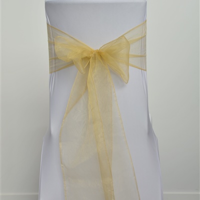 Gold Organza Sash