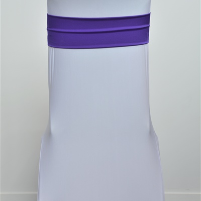 Purple Lycra Band