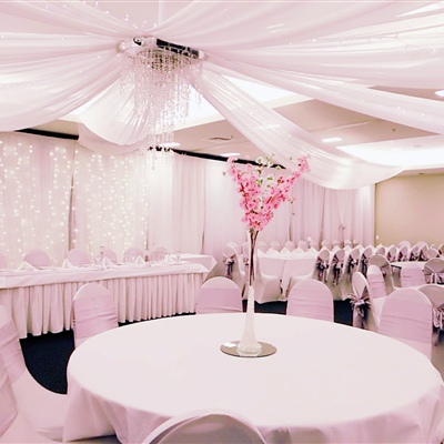 8 Swags with Chandelier and Light