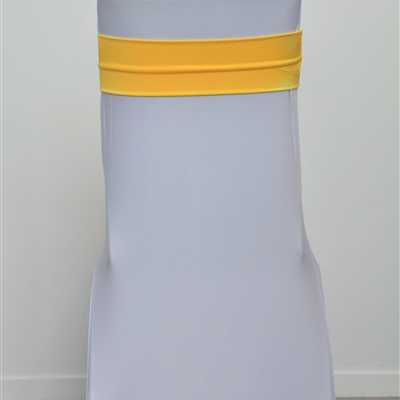 Yellow Lycra Band