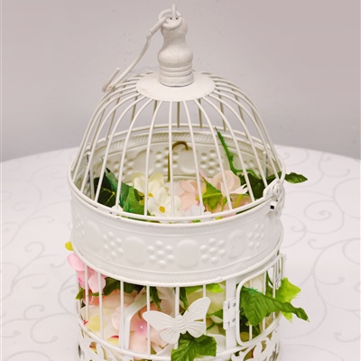 Birdcage (Small)