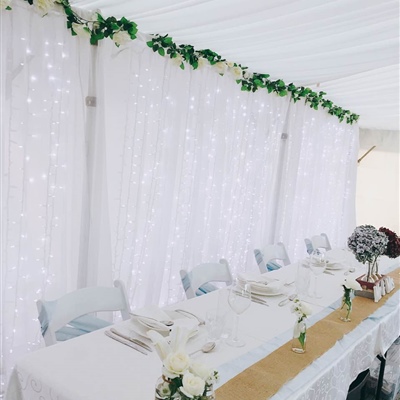 6m x 3m Curtain Lights with Artificial Garland