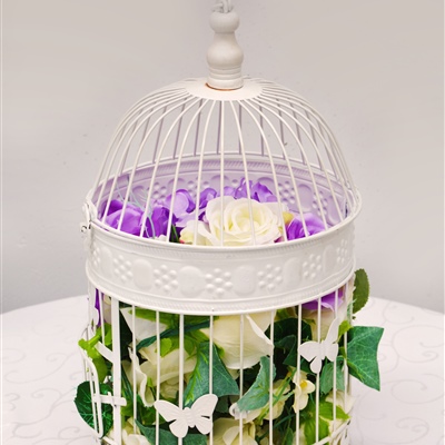 Birdcage (Medium)