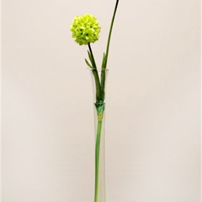 Tall Vase